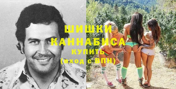 PSILOCYBIN Алексеевка