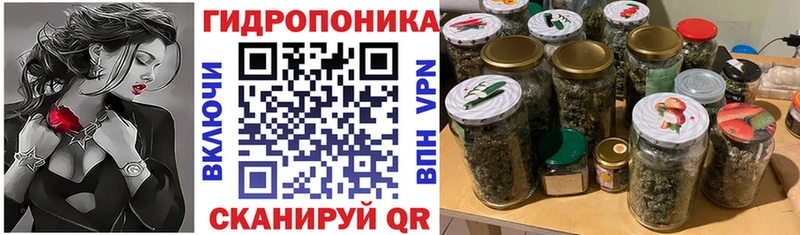 купить   Азнакаево  Канабис семена 